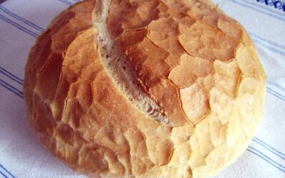 Hungarian white bread